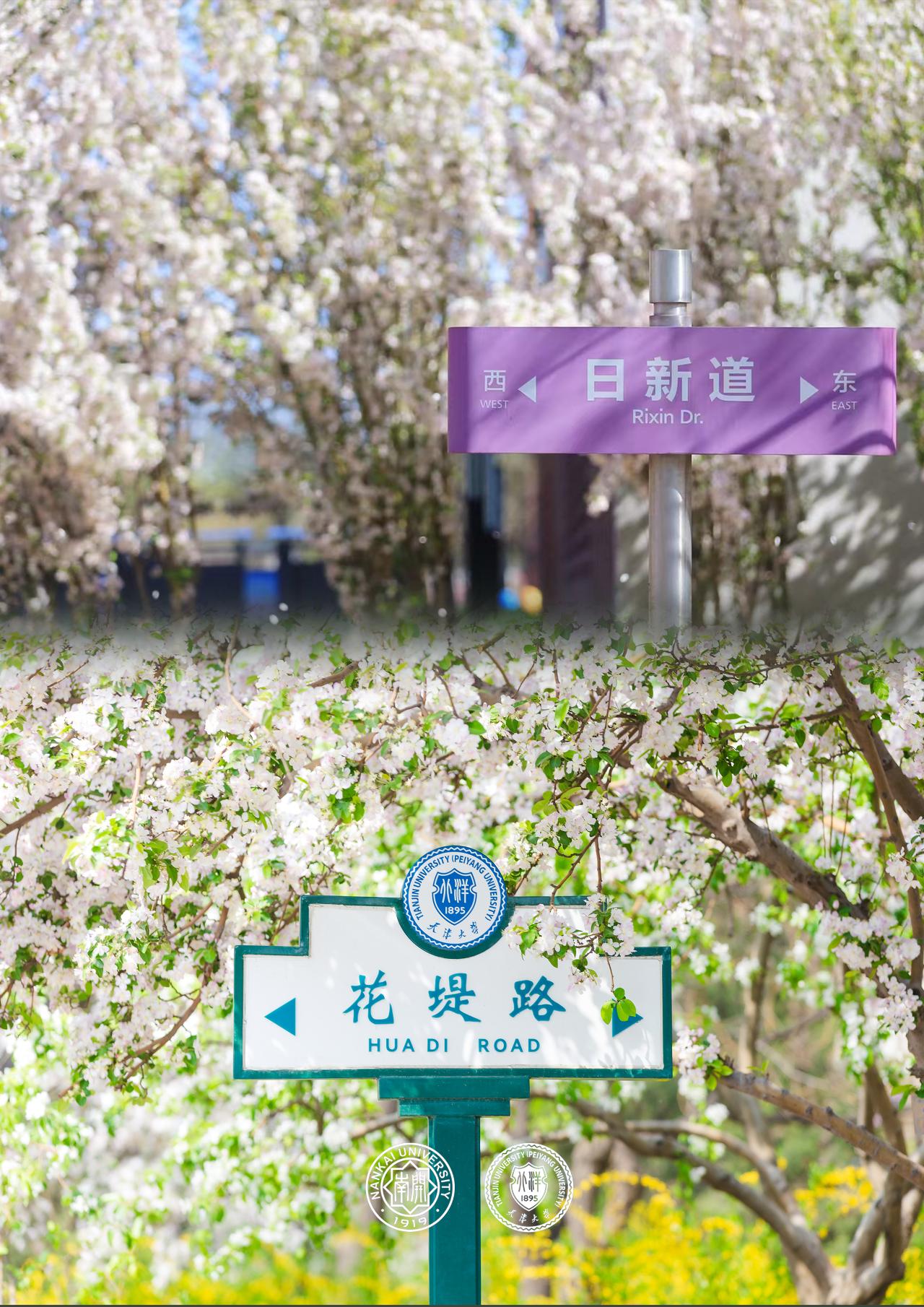 130岁生日快乐！
渤海日出轻启津沽天幕
九河柔波浸润百年繁华
今天，开宝的邻居