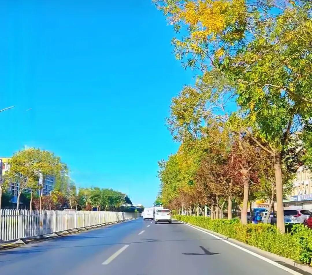 《 秋意 》

日渐秋深日渐凉，
叶生白露草生香。
时来尚未西风紧，
不觉枝头已