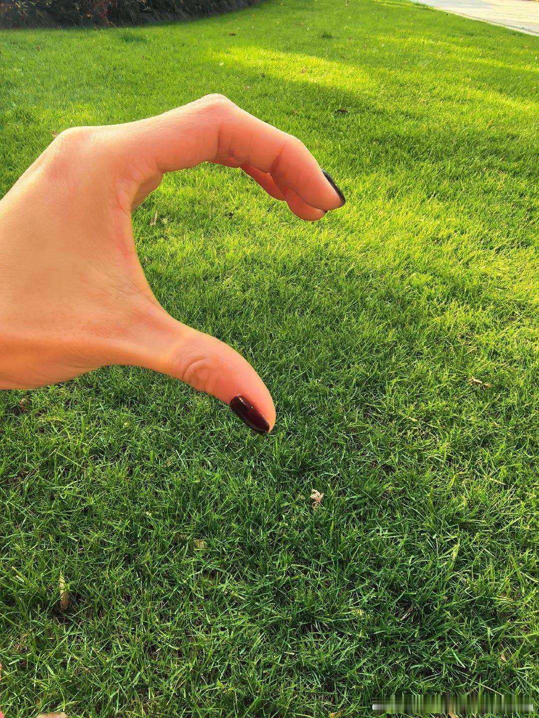 早呀朋友们这段时间各地都是阴天，好久没见到阳光了，分享一张前段时间拍的杭州阳光午