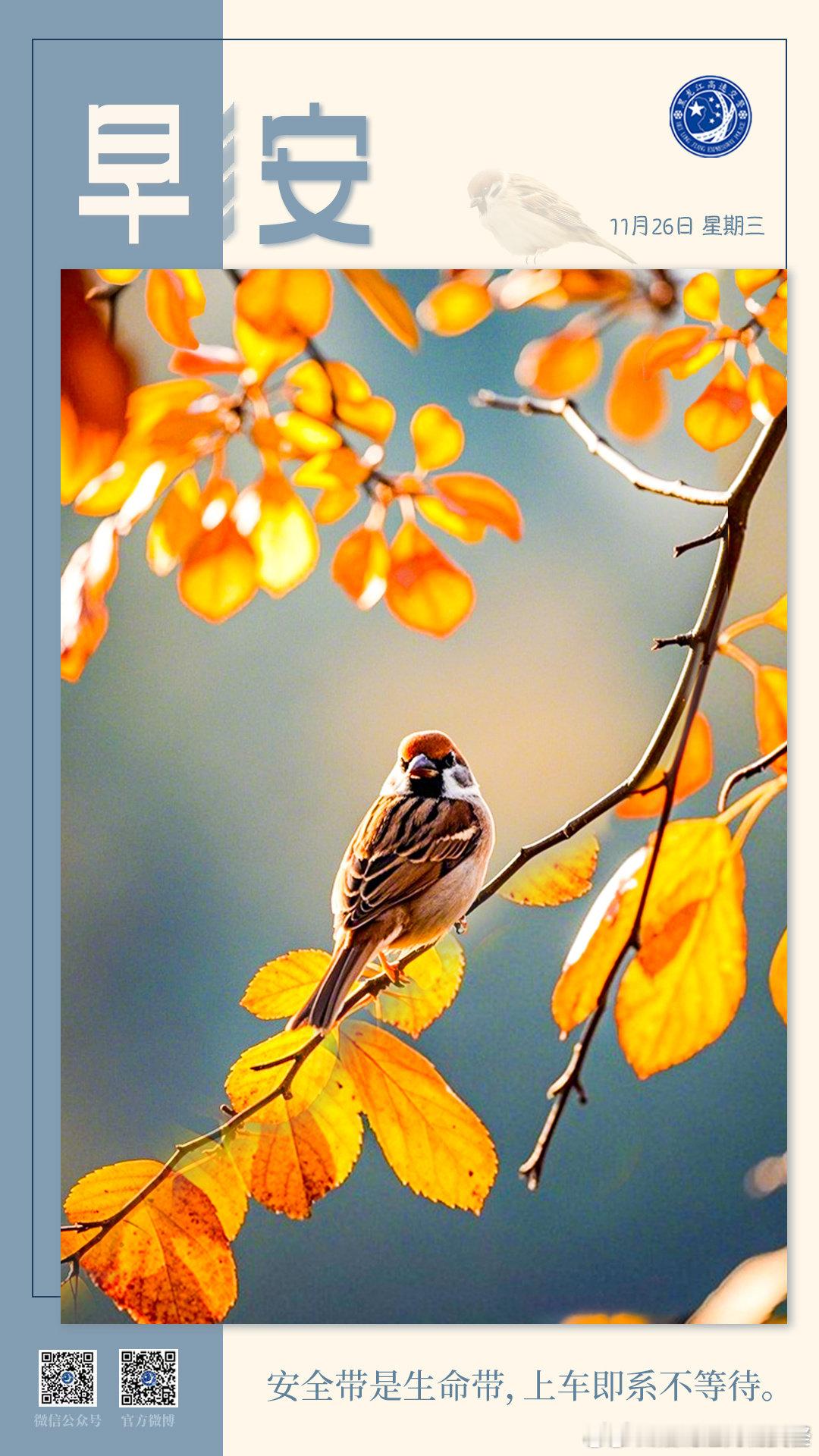 早安 安全带是生命带，上车即系不等待。早安早安高小黑 （