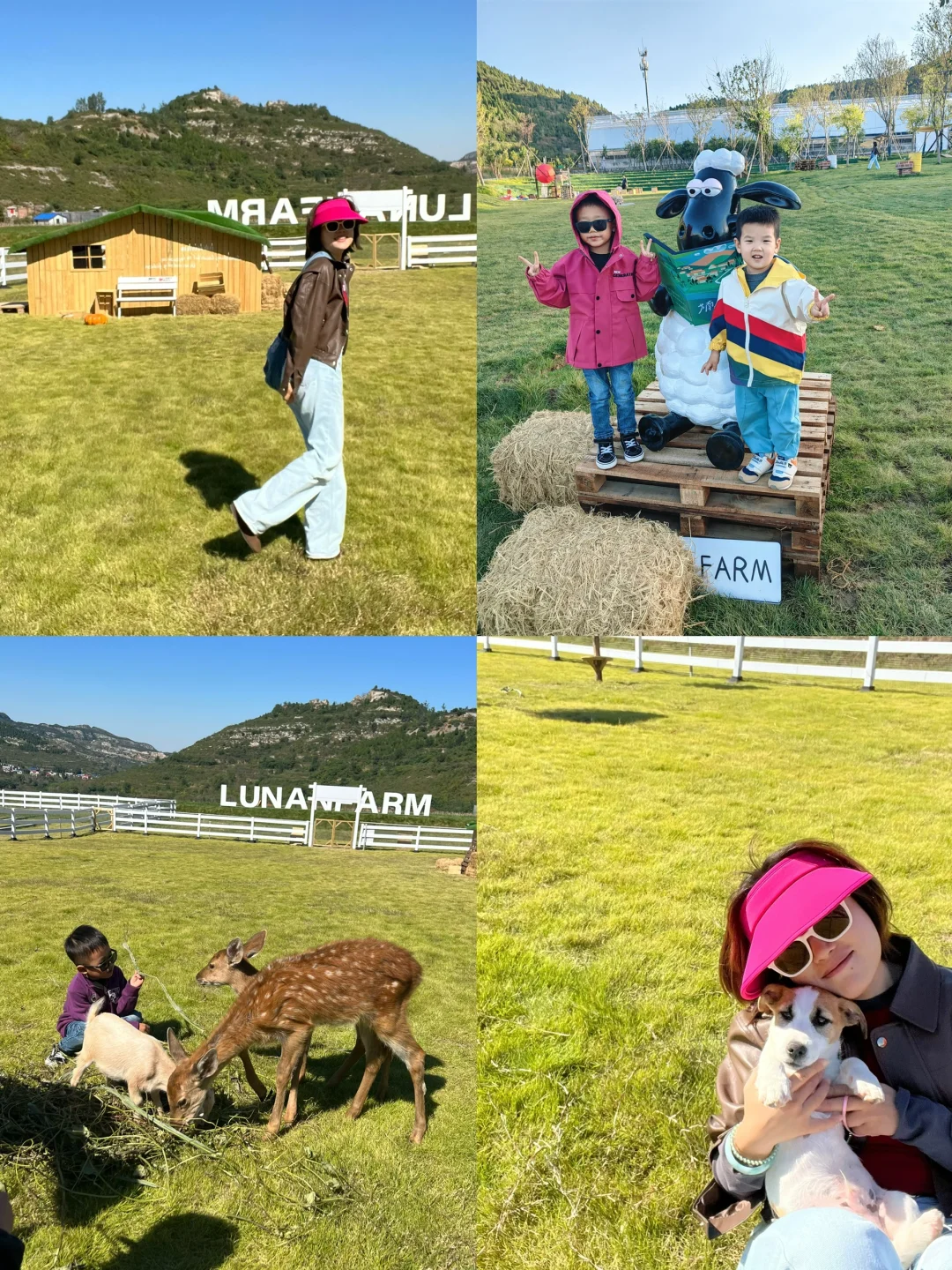 朋友圈被问疯了❗️没出国就在济南芦南村农场