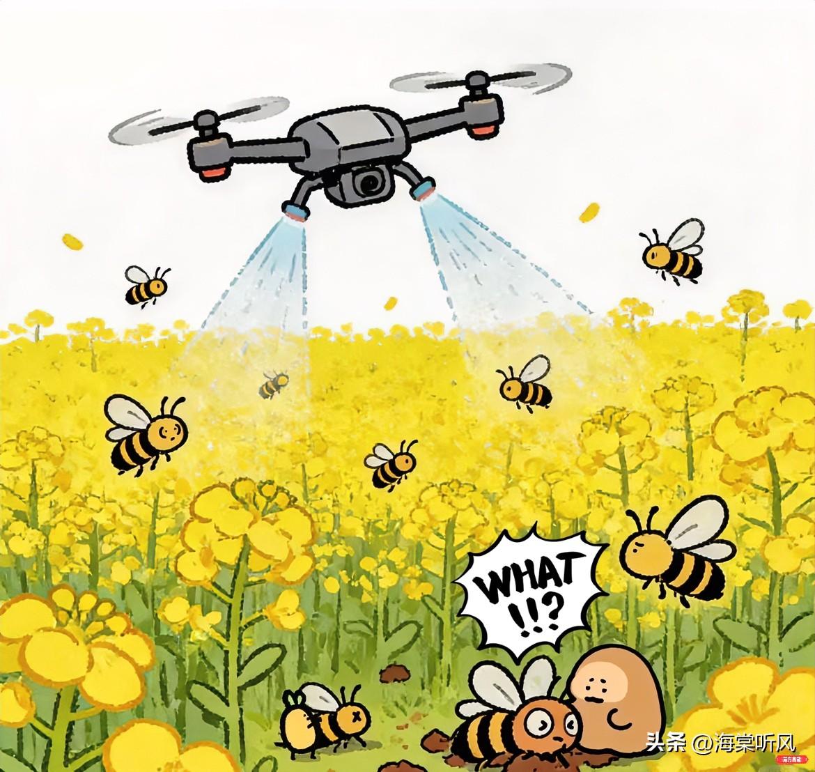 前两天刷到一个画面，看得我头皮发麻。

油菜花田里，老蜂农跪在地上，捧着成堆的死