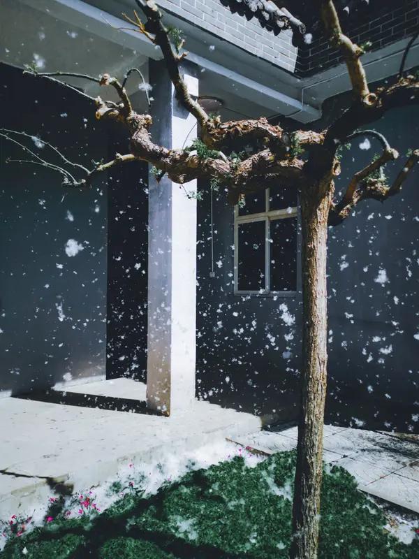 这一来一往的互动太棒啦！@但没人知道 对文章的评价精准而优美，将庭院飞雪、金风挽