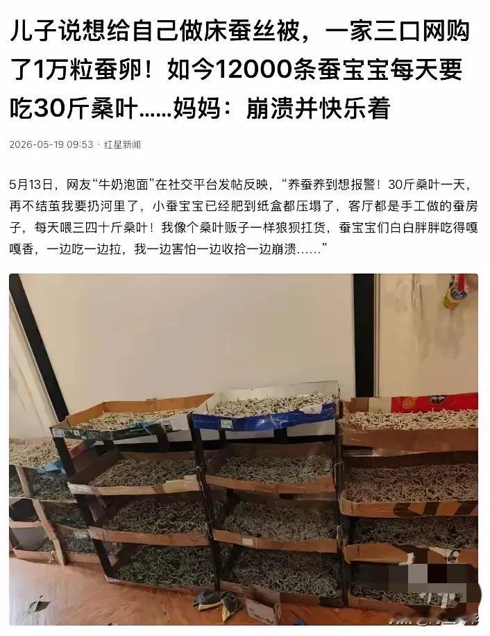 “全网最硬爹妈！”湖北武汉，一个6岁男孩突发奇想，说想给自己做一床蚕丝被。结果一