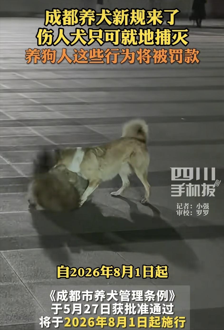 大家怎么看？5月27日成都养犬新规获批通过！8月1日起正式施行：遛狗不牵绳最高罚