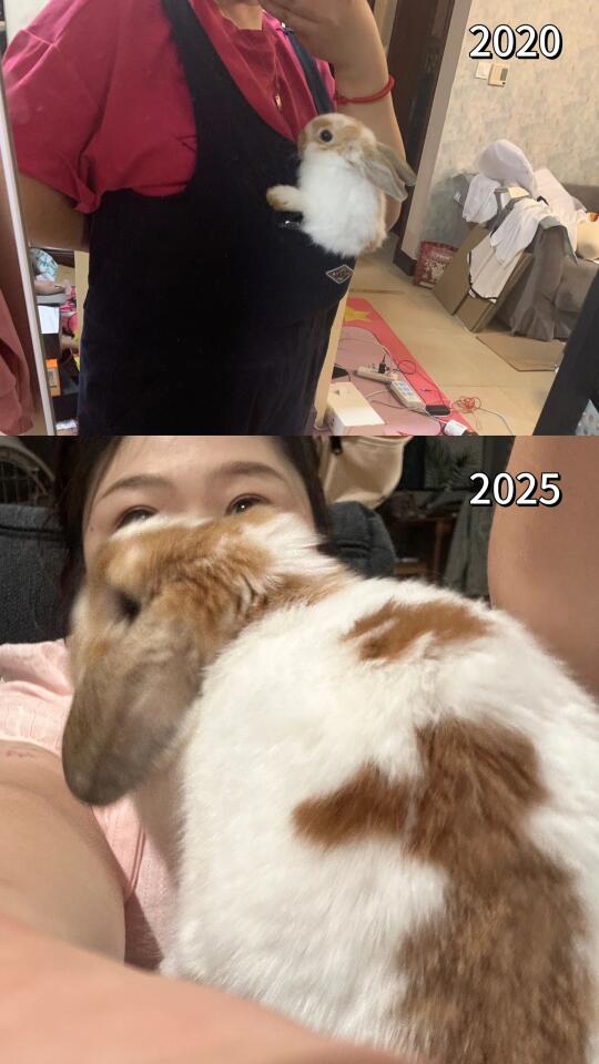 三阿哥又长高了！🥹