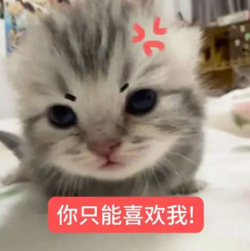 还有28分钟新鲜铮铮来！ 