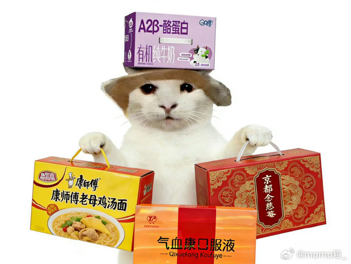 体检正常不等于运动安全 健康生活是想吃就吃，想睡就睡，想做就做，少盐，少油，少糖