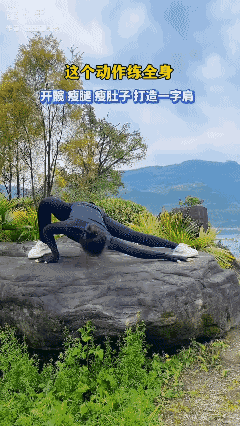 百炼不如多拉伸！💪