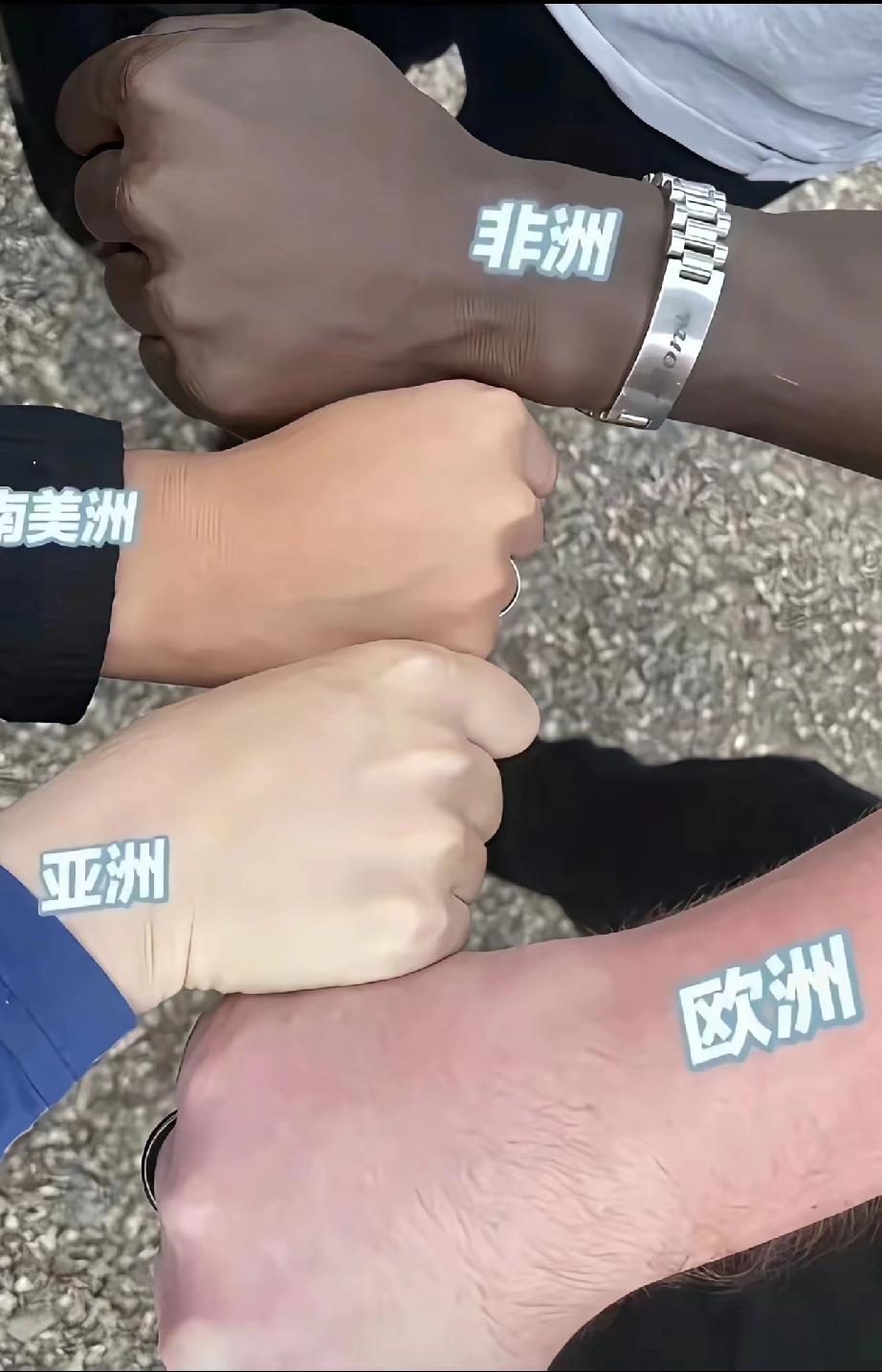 我信奉世界各种族没有优劣之分，一律平等，但颜值高低是客观存在的，就像你身边有个丑