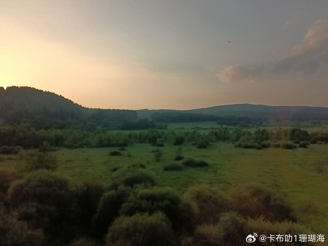 有人说过塞罕坝是河的源头，yun的故乡，花的世界，林的海洋，珍禽异兽的天堂！其实