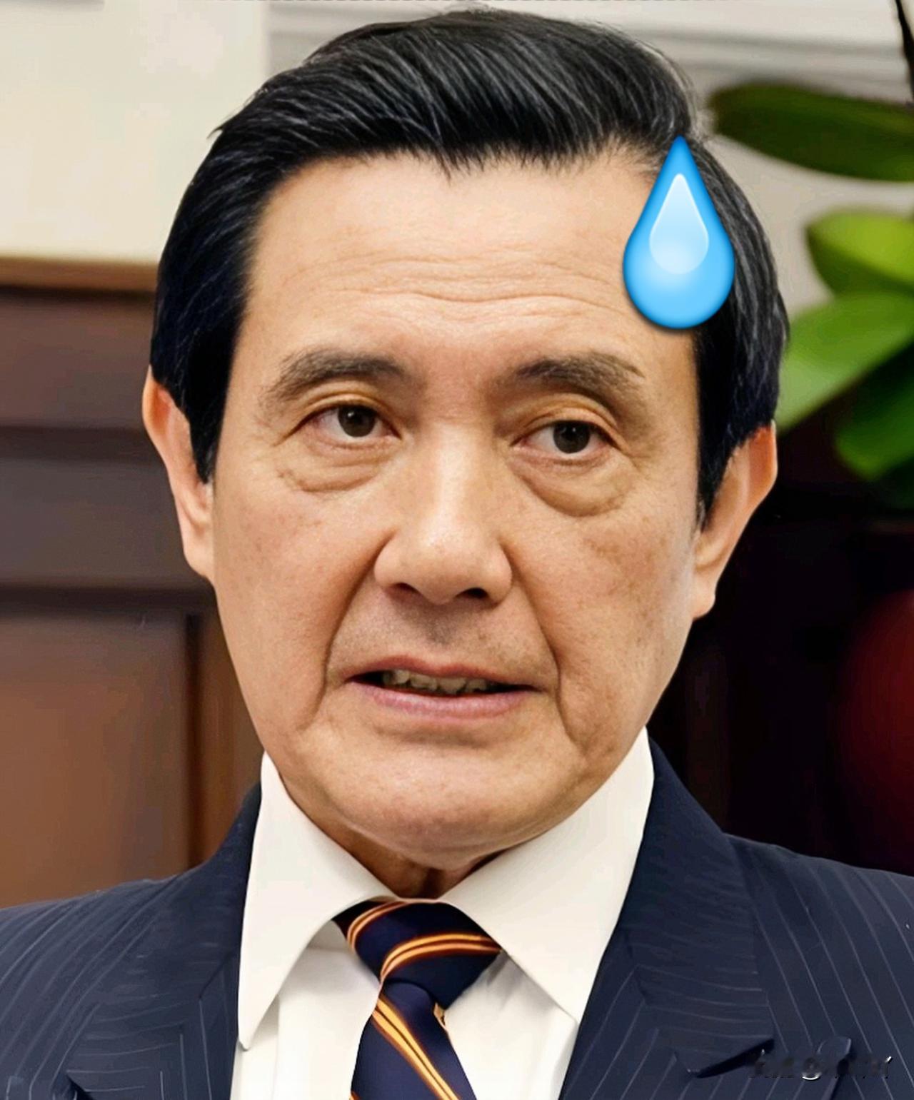 马英九调整国民党两岸政策，
着是“不拒绝统一”
实则加了“和平民主方式”的附加条