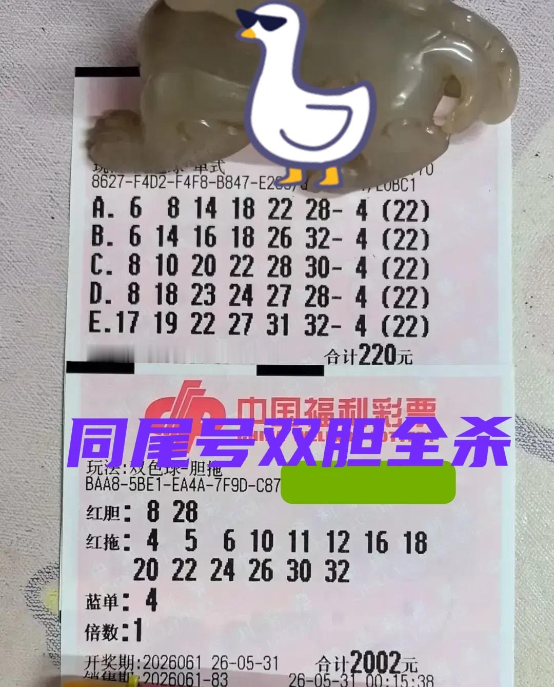 同尾号双胆大复式来袭，22倍票也亮相了！这一期大佬又换了蓝号04，但是不知道主任