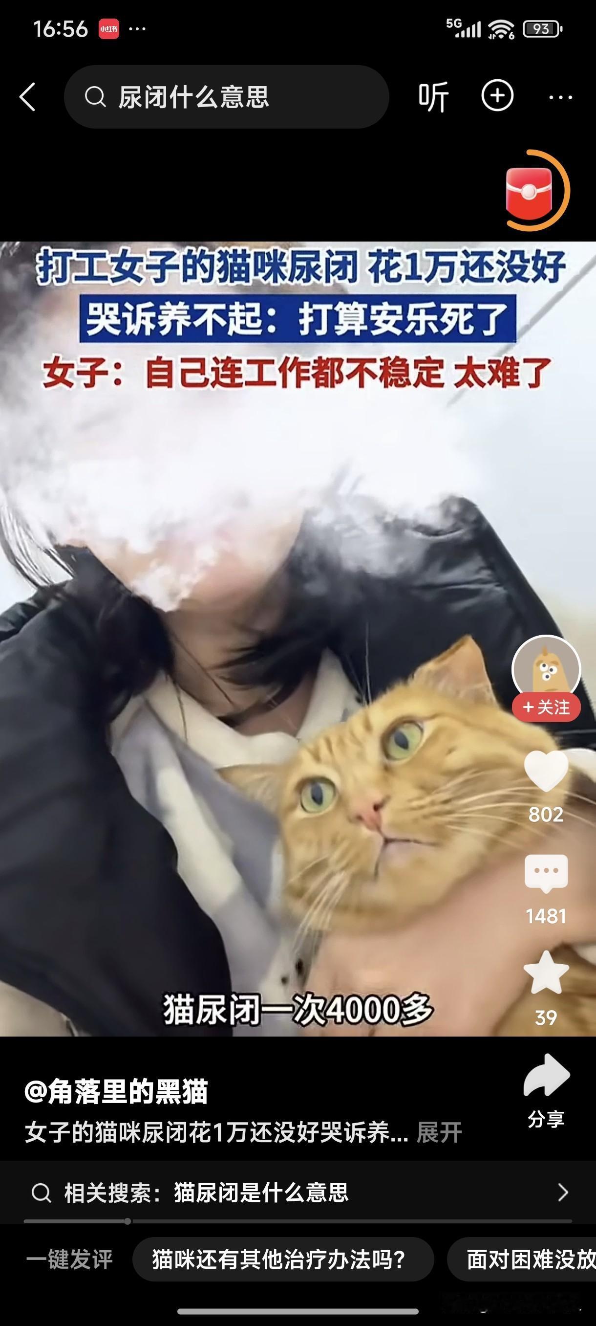 网上看见，一女子发视频哭诉“自己养的小猫得了尿闭症，治疗费用已花了1 万还没好，