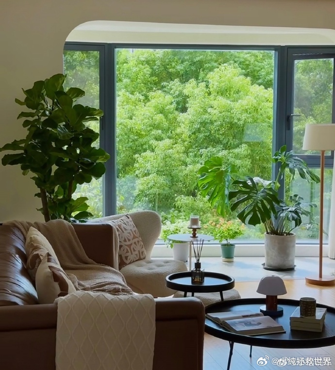 这样的房子才配收我的房租 不用很大，够装情绪和热爱就好，这样的房子我愿意乖乖交房