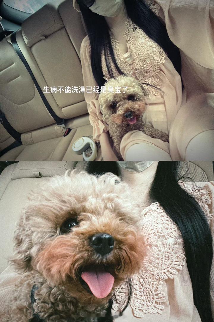 有在好好生活 演员陈诗诗