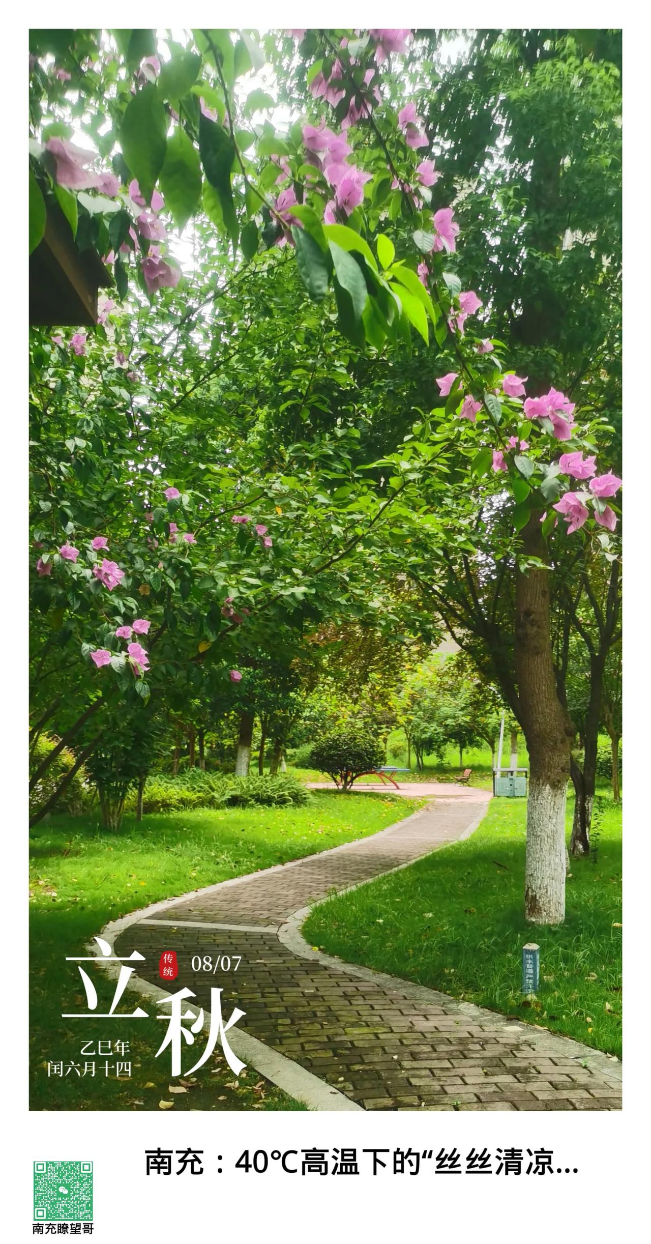 南充：40℃持续高温已现了“丝丝清凉…