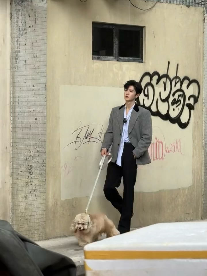 世界上独一份的幸福，穿着婚纱的女生拍摄偶遇陈哲远，哲远就这样边走近边鼓掌祝福，还