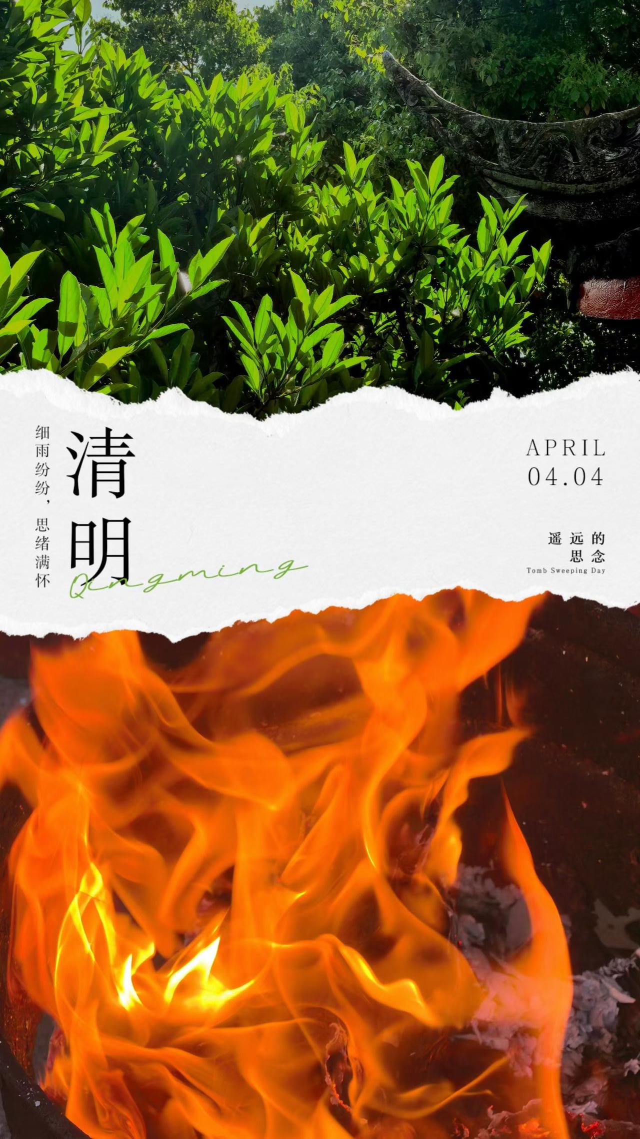 清明，追思，念安[合十]
春风有信，思念无期～