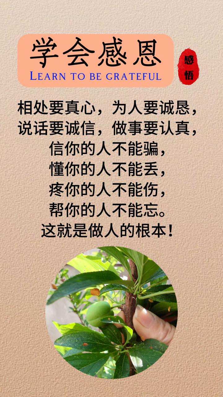 学会感恩。
相处要真心，为人要诚恳，说话要诚信，做事要认真。信你的人不能骗，懂你