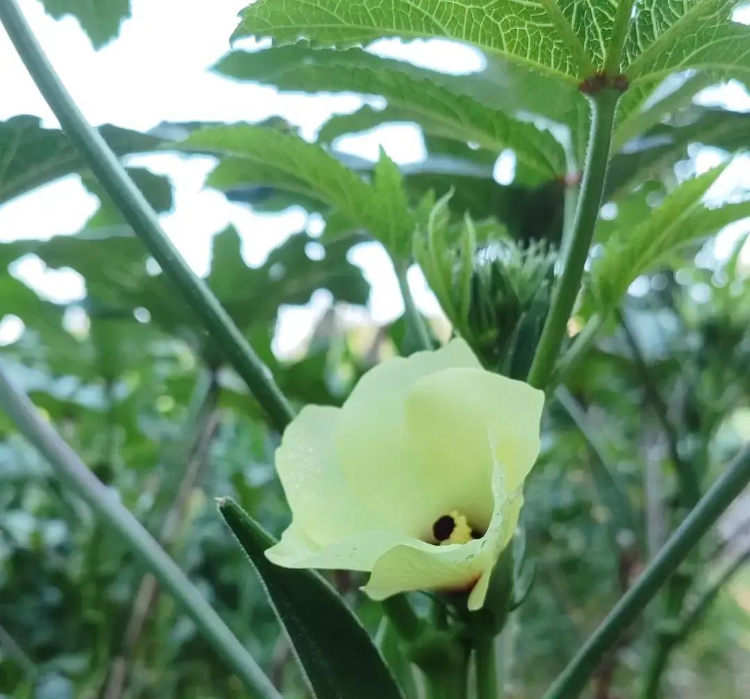 大二挂科十多门，下学期只能办休学，更要命的是，一年前受罪切掉的胃，又被他生生“撑