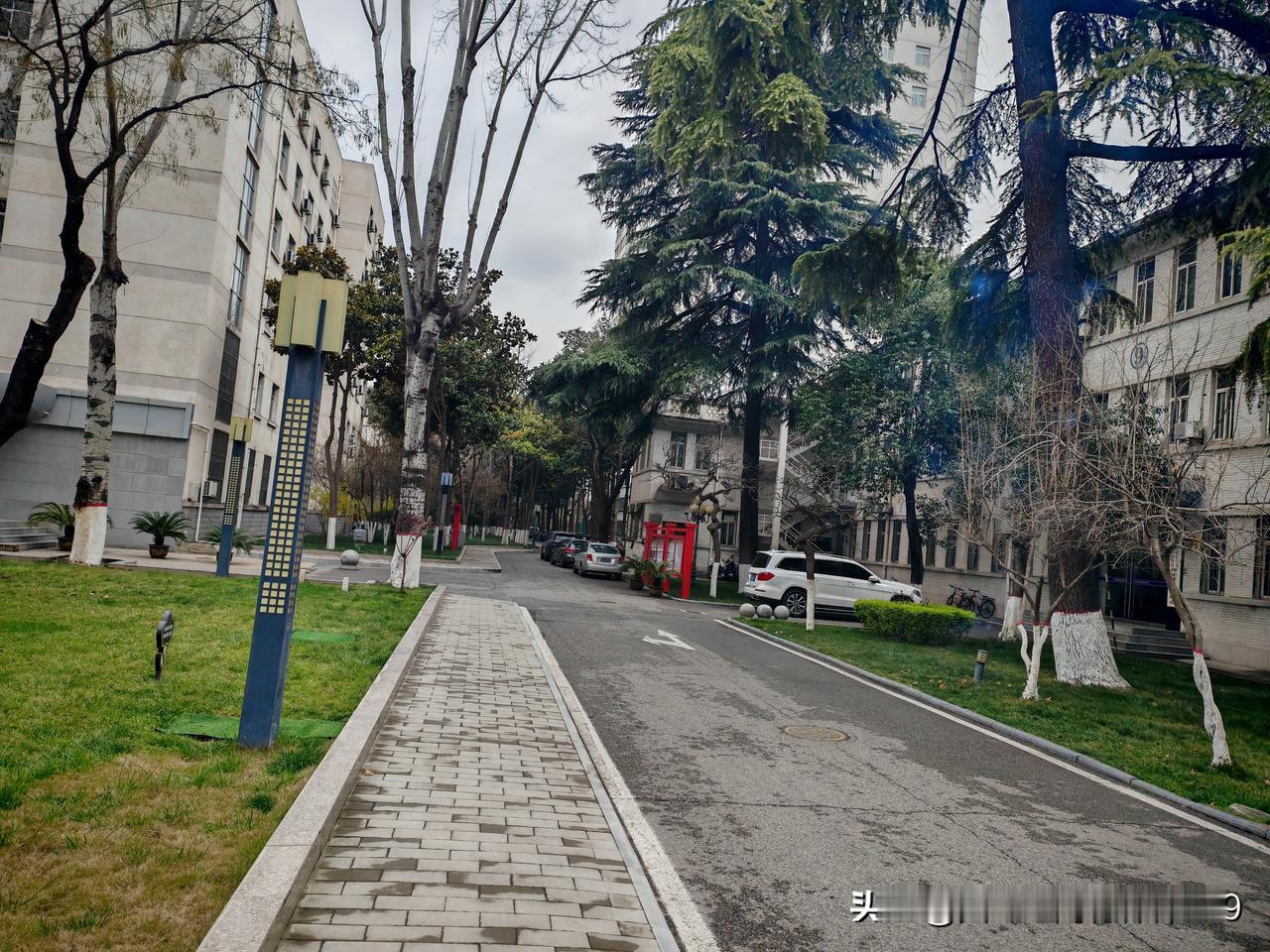 我是一个地地道道的甘肃庆阳人。学校毕业后到新疆工作15年，又调回兰州工作6年，2