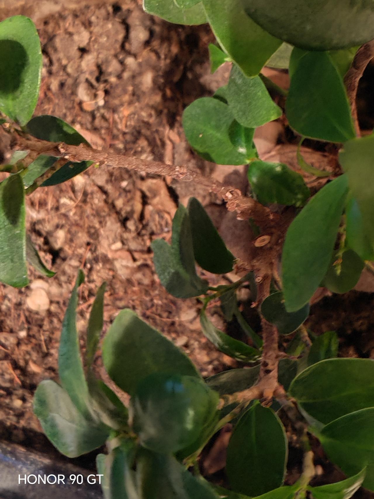 春日生活打卡季