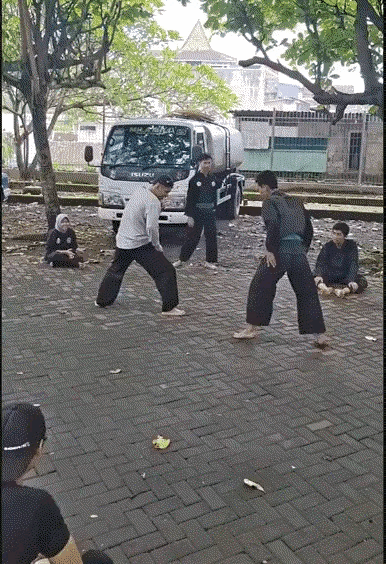 看这两个人表演，不懂行的人，真不知道谁获胜了，如果乍一看的话，还以为是穿白色衣服