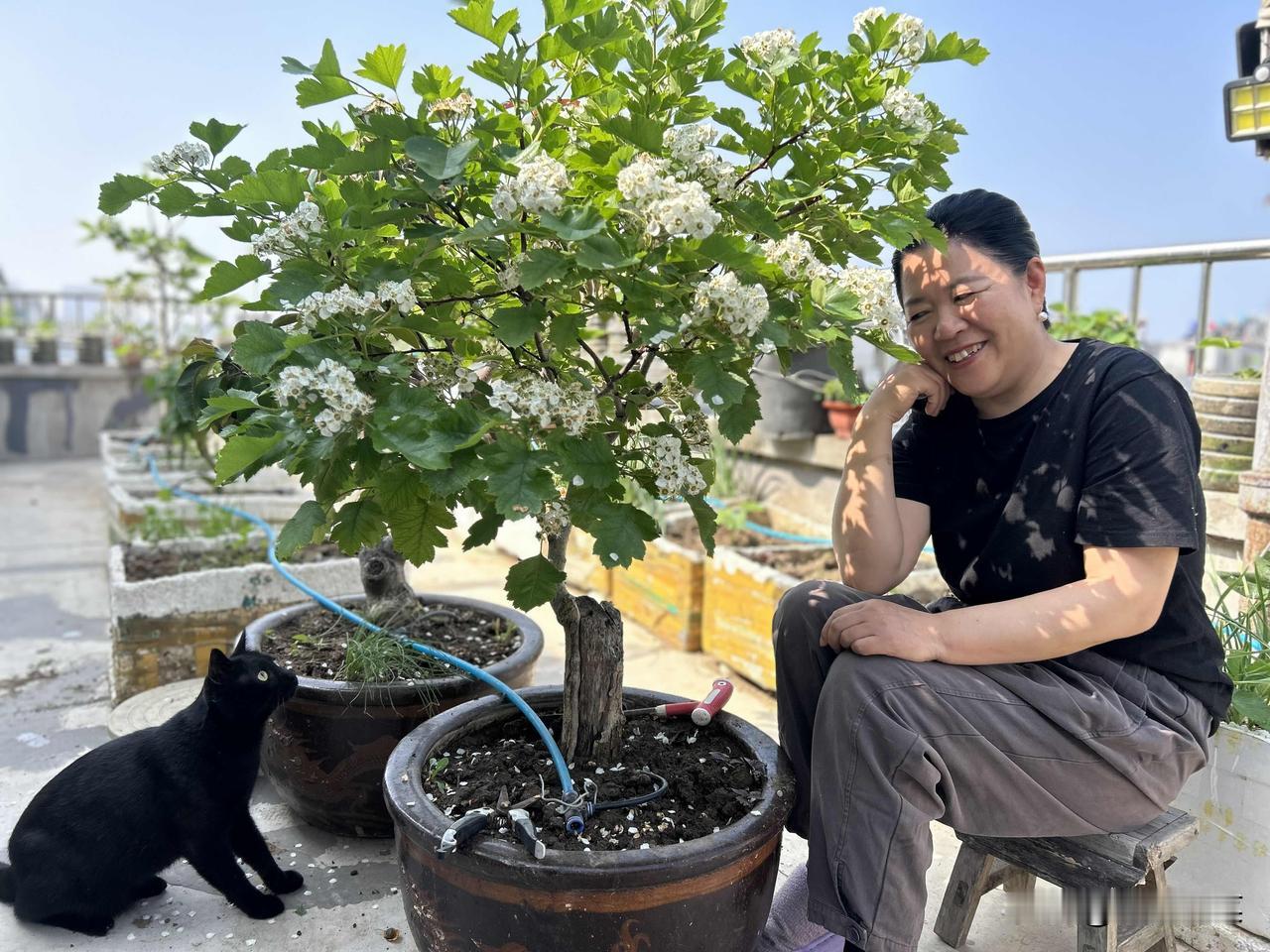 楼顶小果园的温柔时光

我家楼顶，藏着一方小小的果园，这是我平日里最爱的小天地。