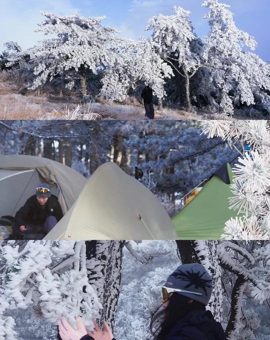 雾凇｜云海｜星空｜日出  零下10度⛺️初体验！
北方小土豆也是看到雾凇啦❗️❗