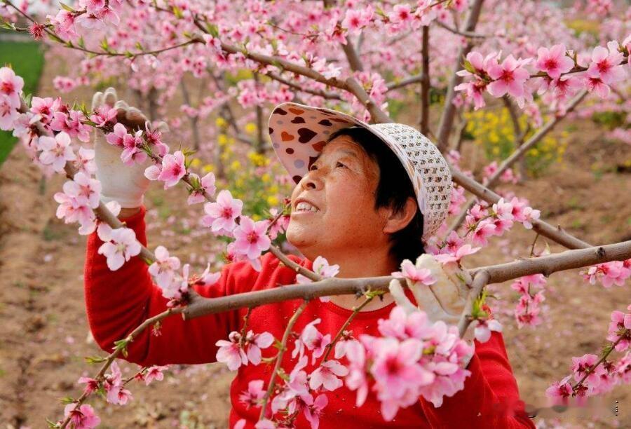 果树疏花疏果有学问，掌握好这“八疏八留“原则就够了！

一、八疏原则
1、首先疏