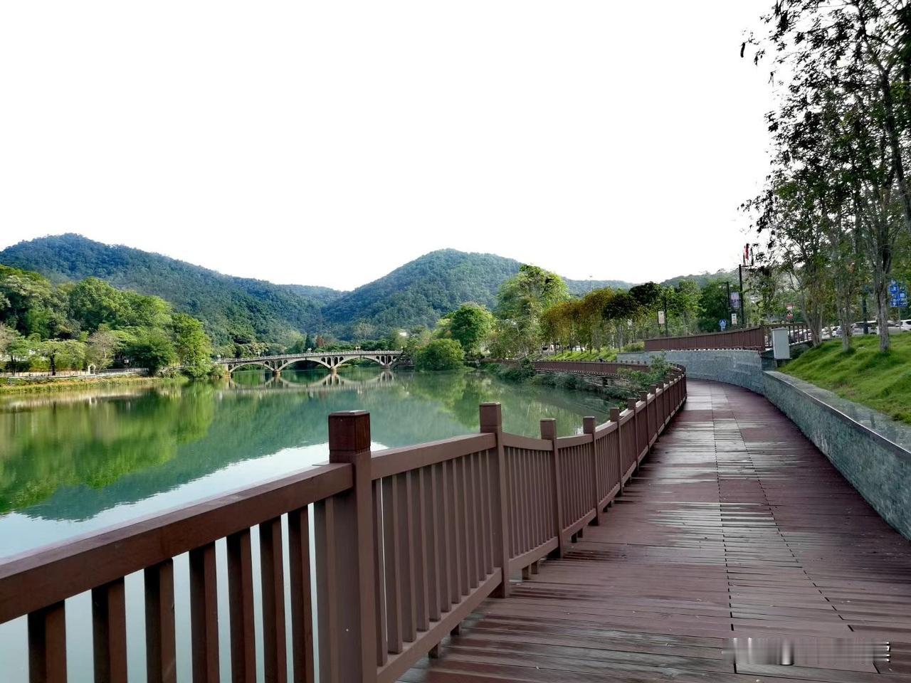 早起发现天放晴了，赶紧来河边绿道打卡！✅
雨后的空气，全是满满的负离子！每一口呼