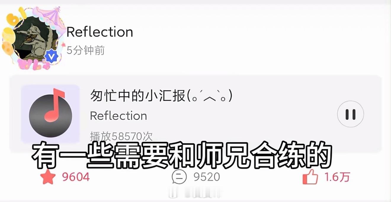 真瓜主又发力了