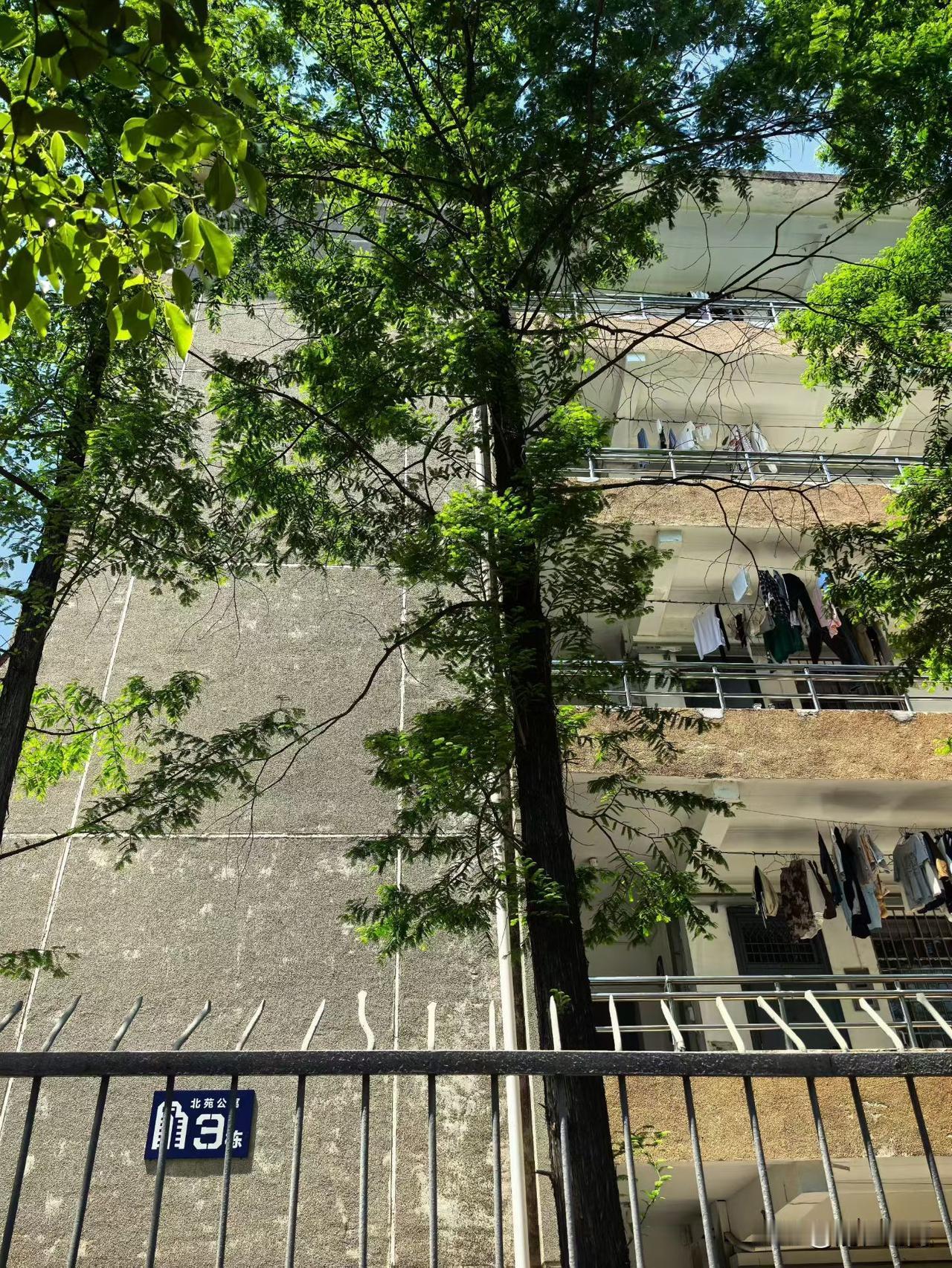 猜猜这是湖南哪个知名高校？
提示一下，这所学校排名全省前十，它的数学系，法学非常
