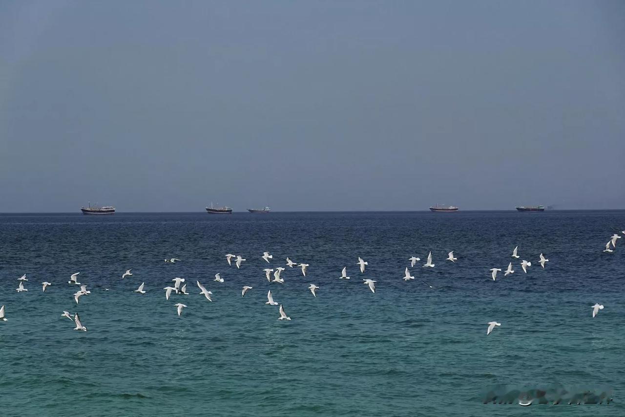 【英国率先表态：不会参与特朗普对霍尔木兹海峡的封锁】
伦敦时间2026年4月12