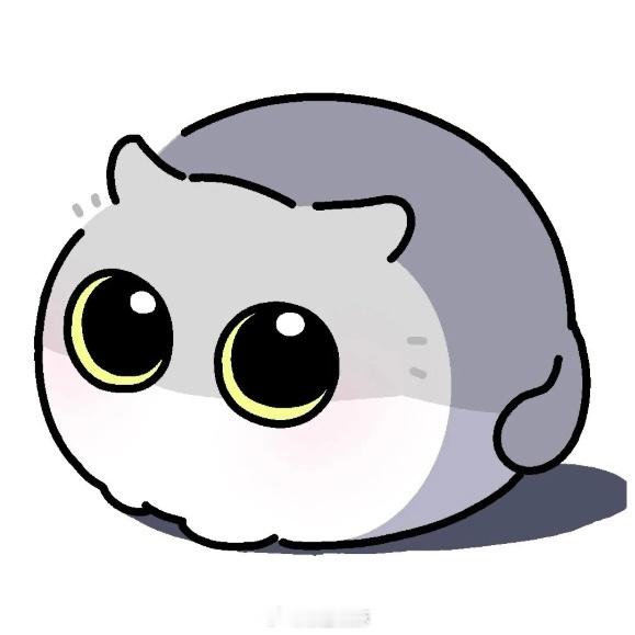 这小笨猫 