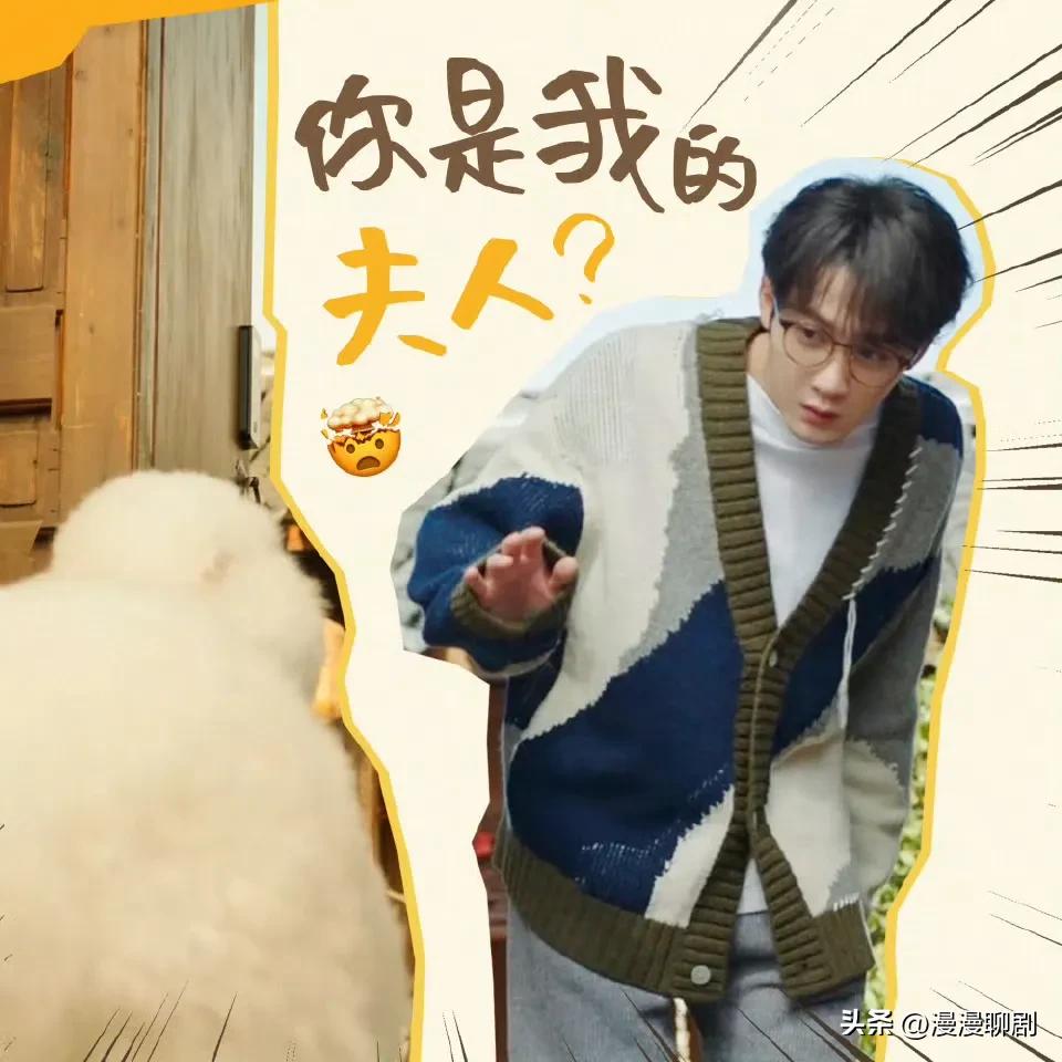 檀健次饰演的男主唐奇面对女主各种变身的动心，甚至变身羊驼、针灸铜人、年画娃娃都依