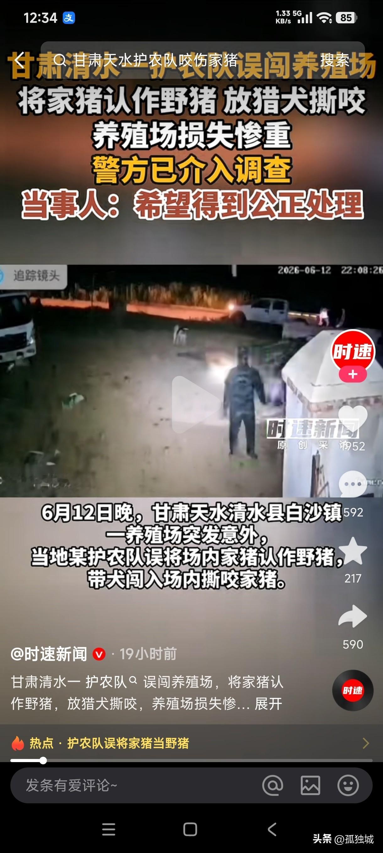 6月12日晚甘肃天水清水县白沙镇养殖场遭护农队误闯，将家猪认作野猪放狗撕咬，养殖