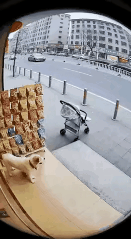 善待动物，无论猫狗不喜欢可以但绝不允许去伤害。因为它们的灵性和敏捷是对人类最好的