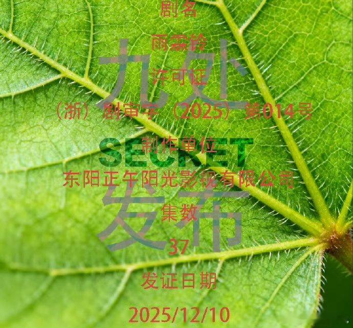 杨洋《雨霖铃》过审下证了！共37集，所有人燥候这个《雨霖铃》！！