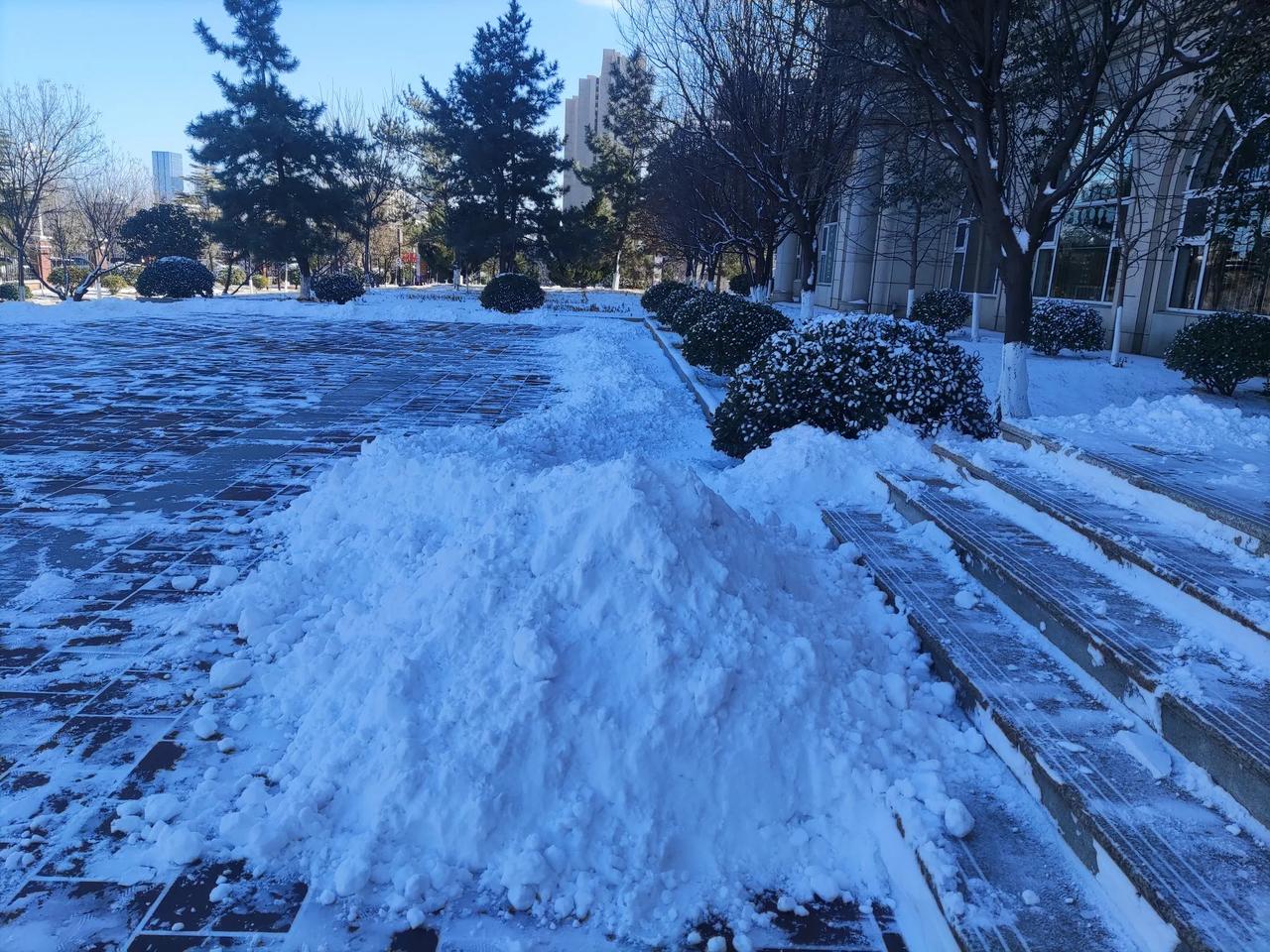 烟台不愧是个雪窝，昨天的雪来的悄无声息，一个小时不到下了将近五六厘米深，下班的时