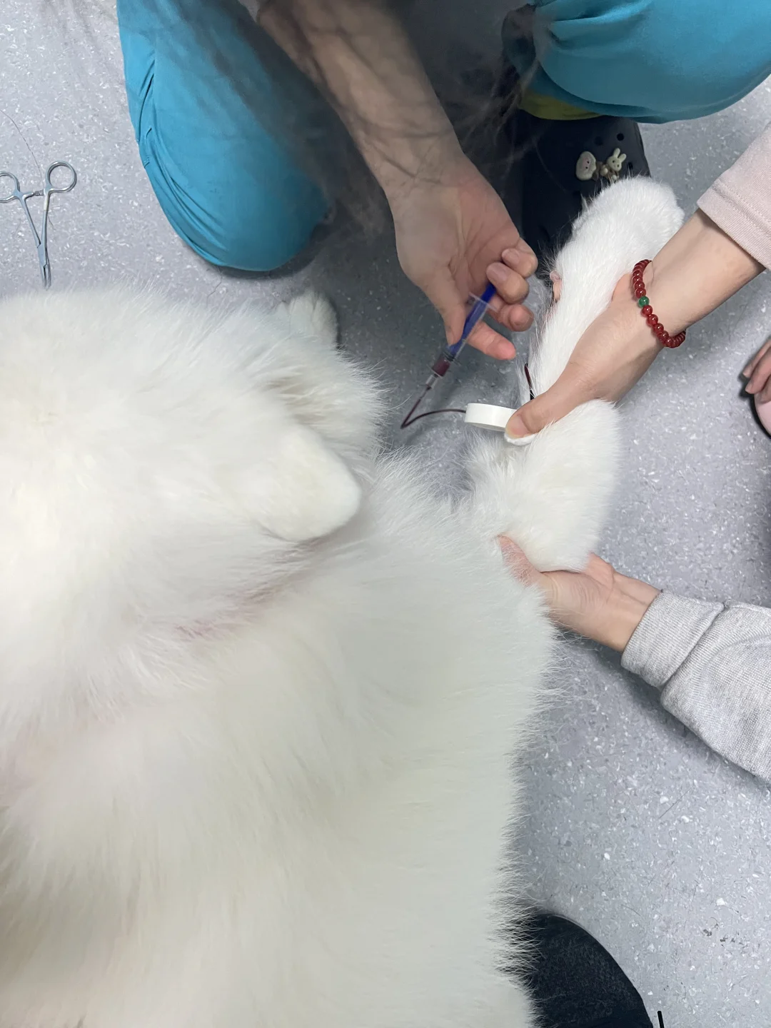 15岁体检结果：一个坏消息一个好消息