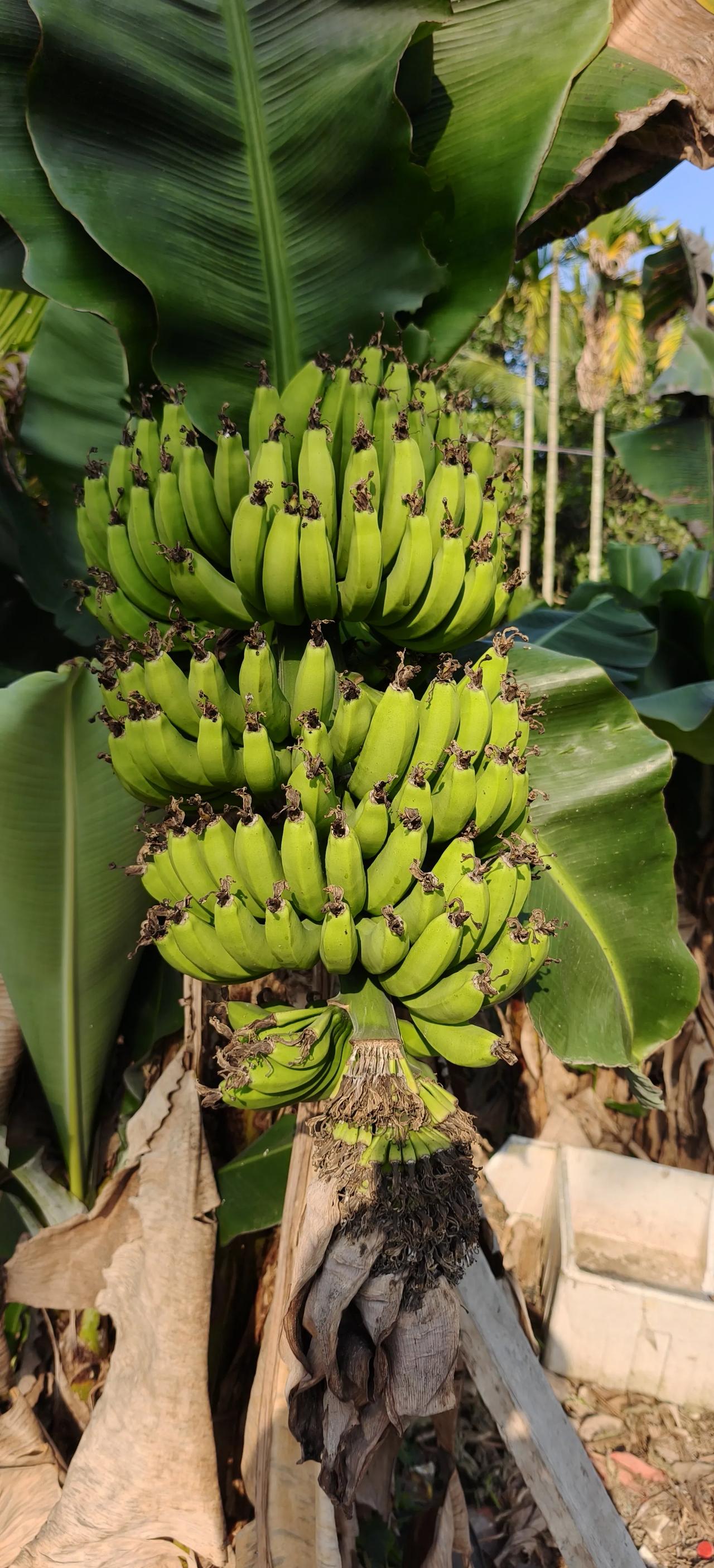 ，旅游、高新、跨境等赛道优，但本地市场小、配套弱、竞争集中，适合轻资产、外向型项