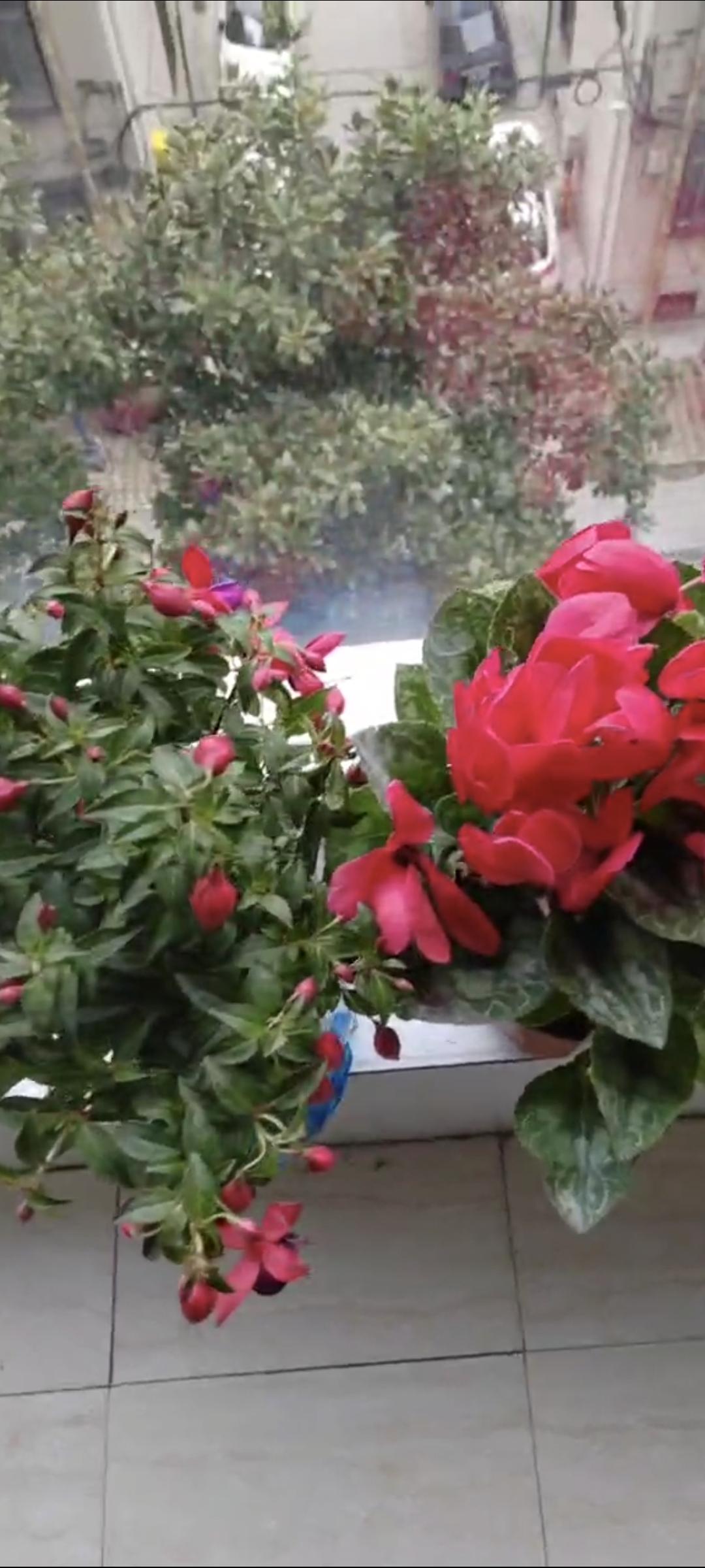 1，孩子，手机不会跑，一直都在。可青春己逝，考试也不一样， 每次都是宝贵机会，一