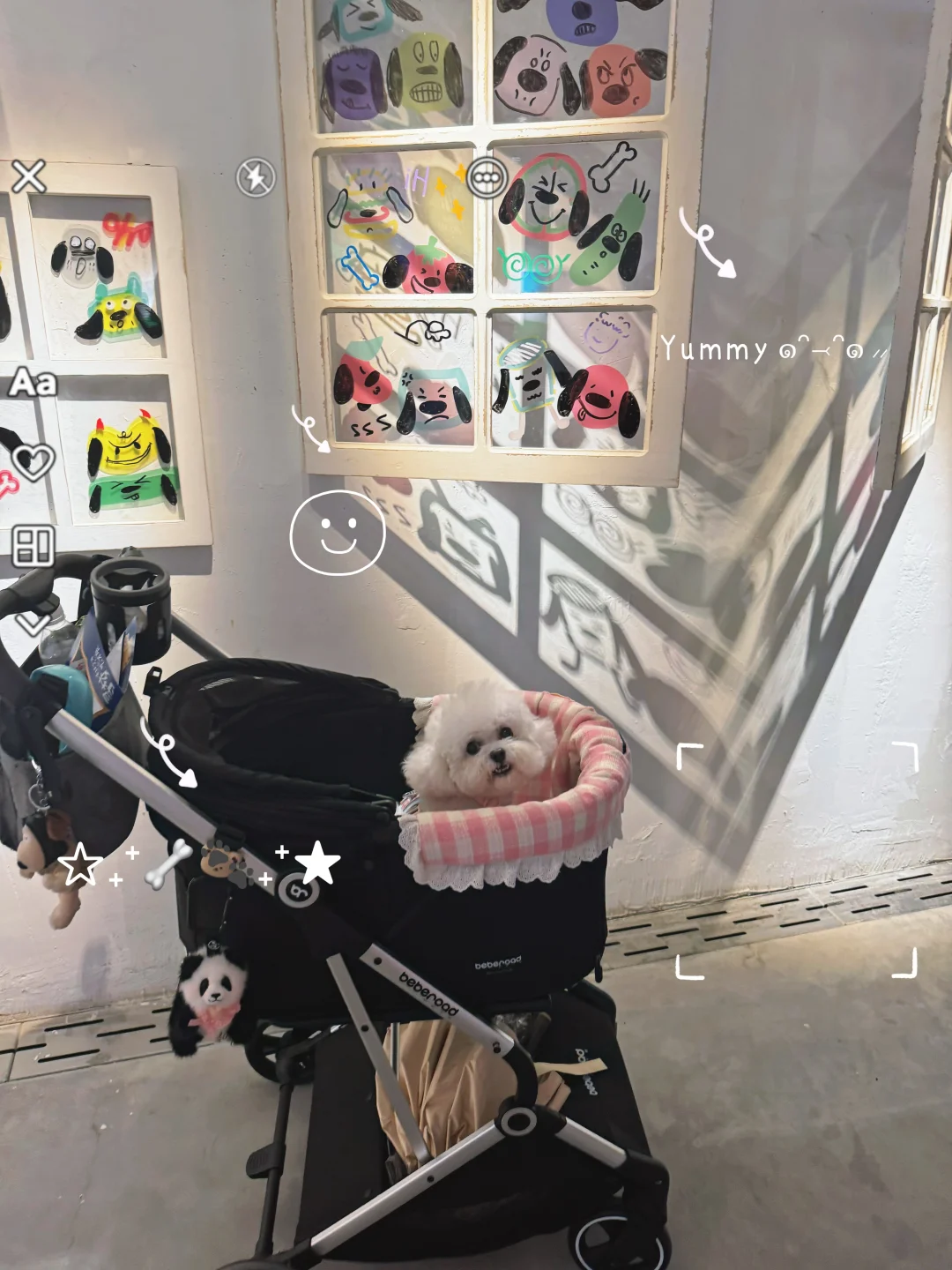 小狗逛展记！