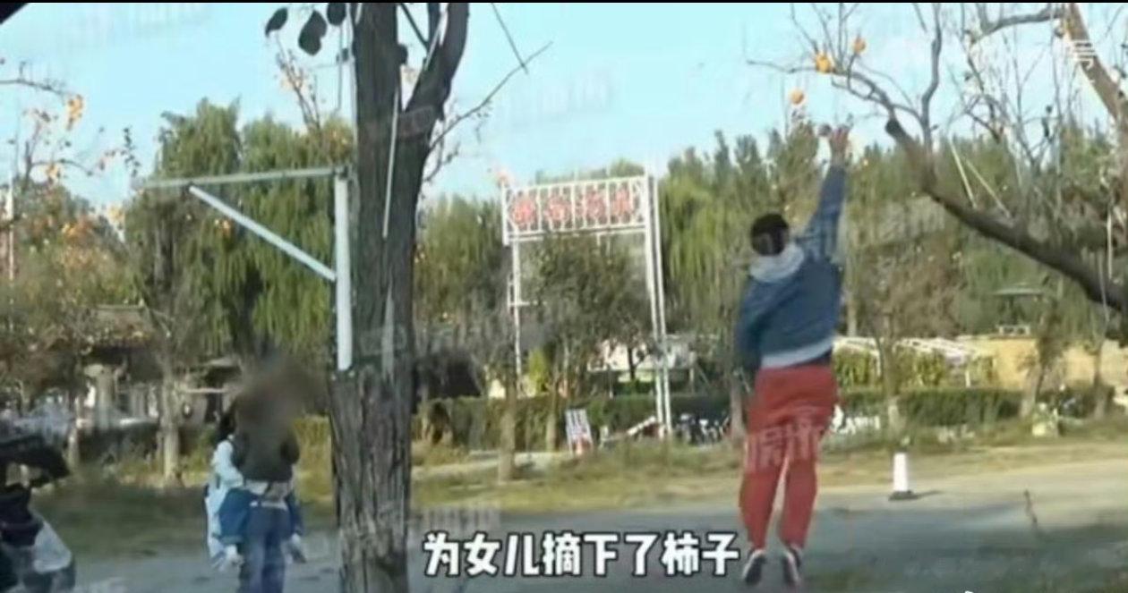 #王传君为女儿交罚款摘柿子##王传君[超话]#看得出来王传君真的很宠爱女儿呀！想