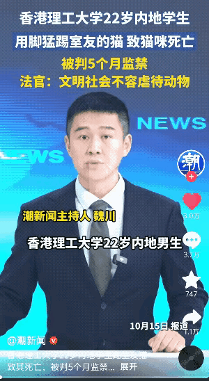一就读于香港理工大学的22岁内地学生踢死了室友养的猫咪，被监禁5个月，获网友们纷