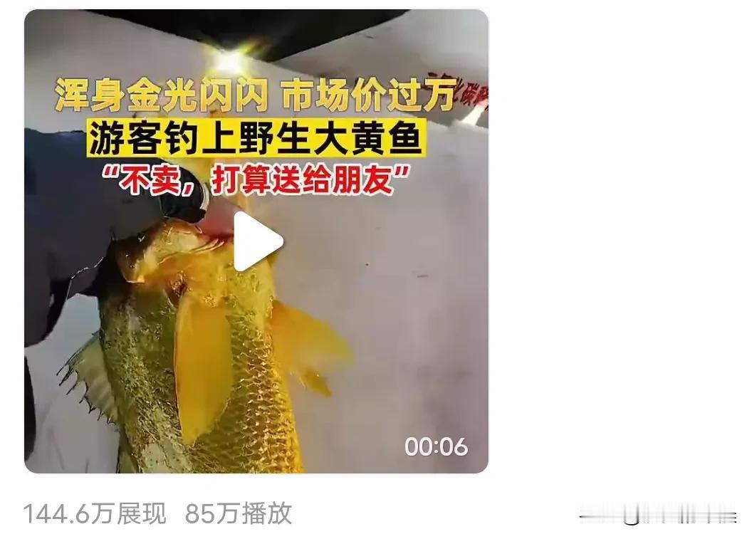 好不容易🈶编播放量几十万的视频出来
但是视频收益好少啊，就四五块钱
以前的微头