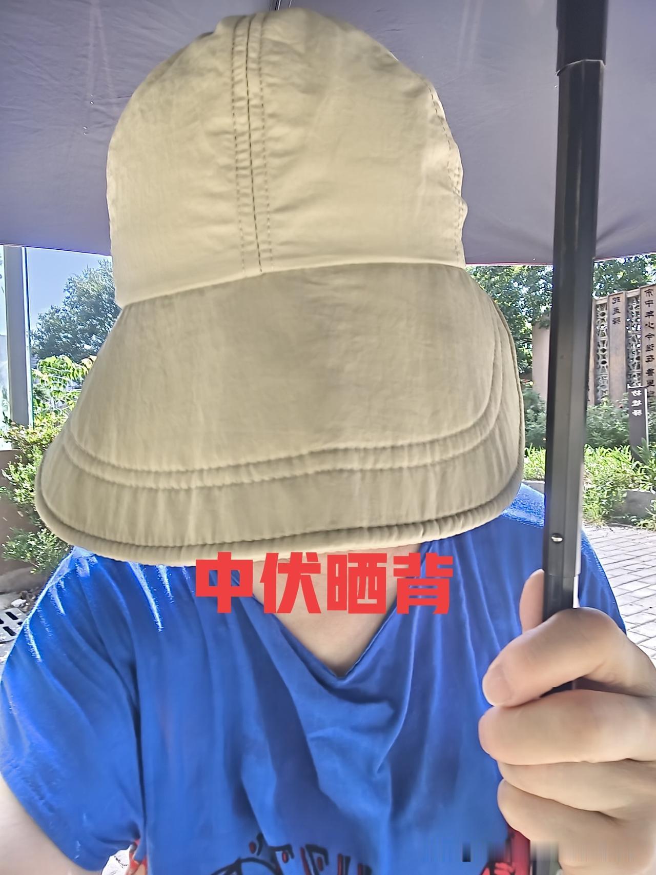 白海豚怎么就和我作对呢？我长这么大今年第一次想三伏天晒背，头伏没晒。这中伏才刚晒