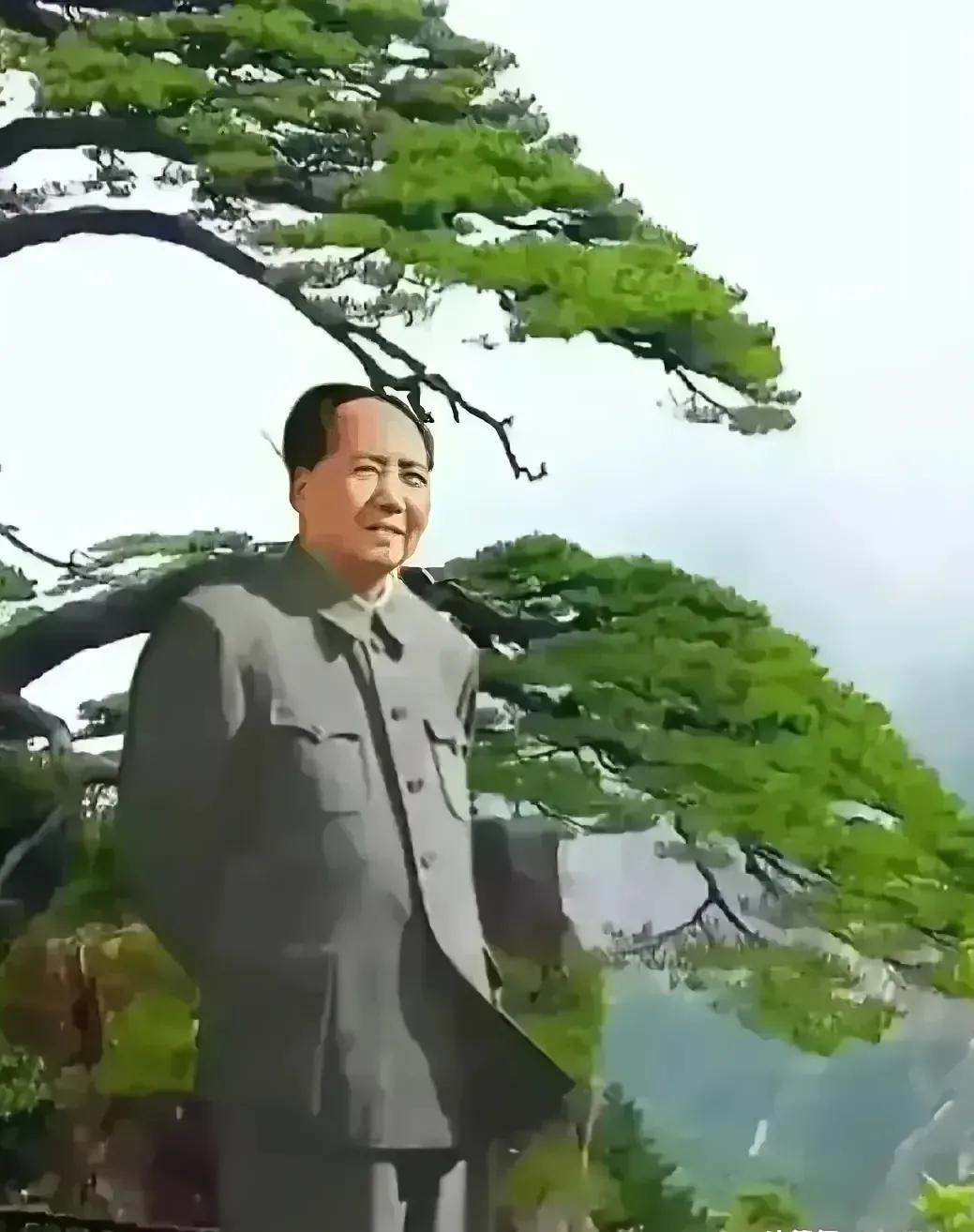 翠柏凌霄风骨傲，坚如磐石立峥嵘！